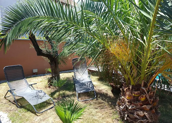 Paradise For Children, Oros *